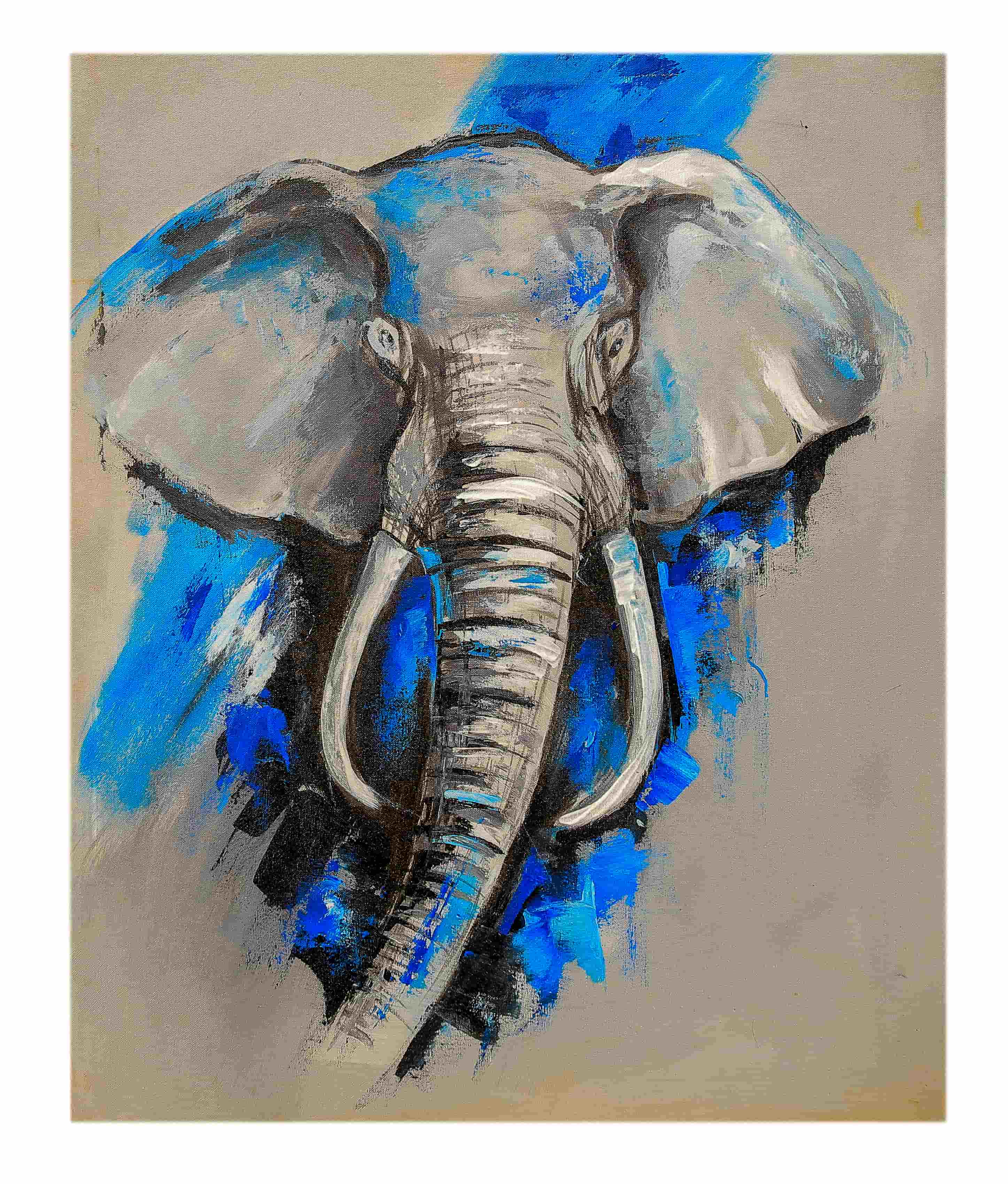 Elephant in Blue