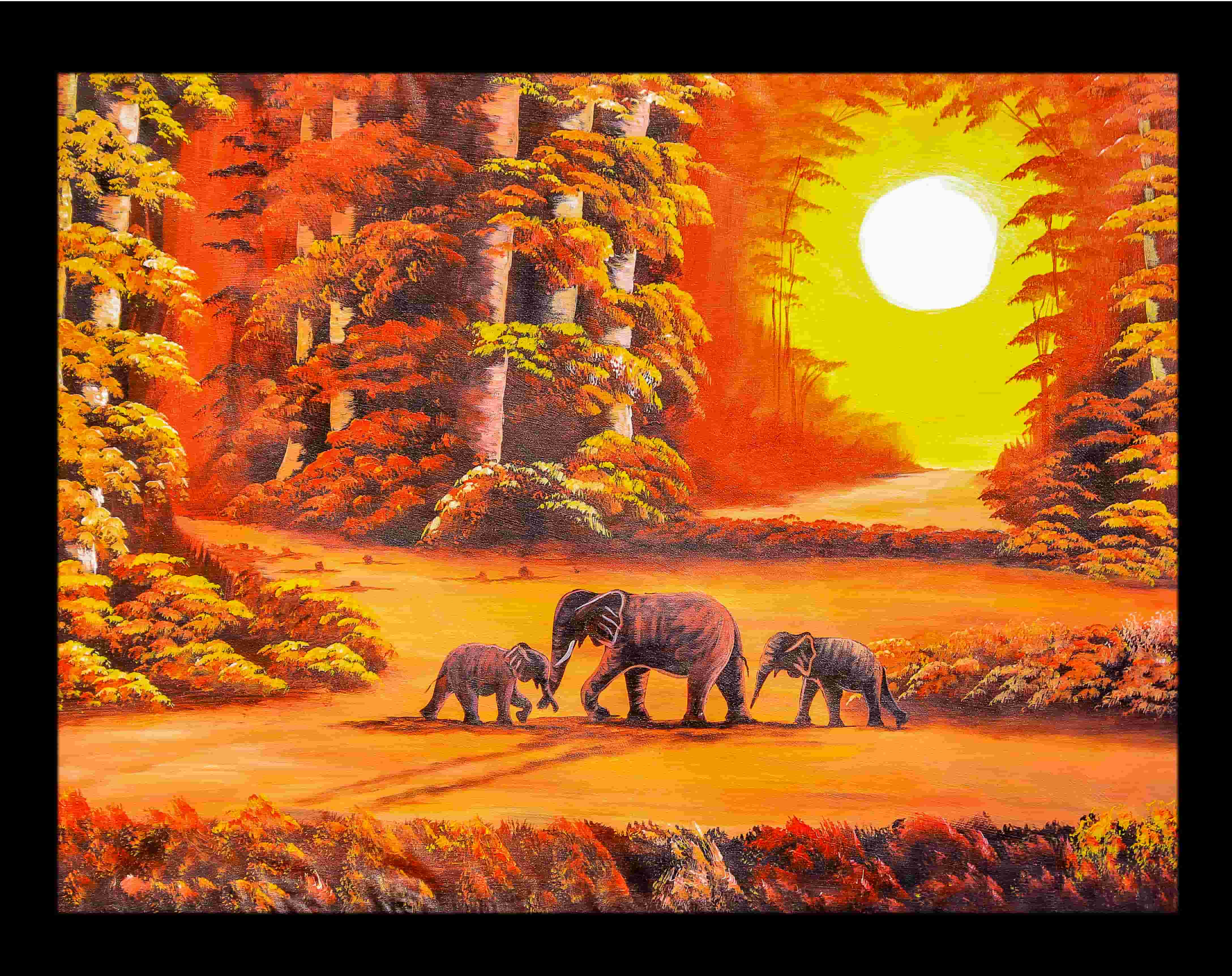 Sun Kissed Jungle