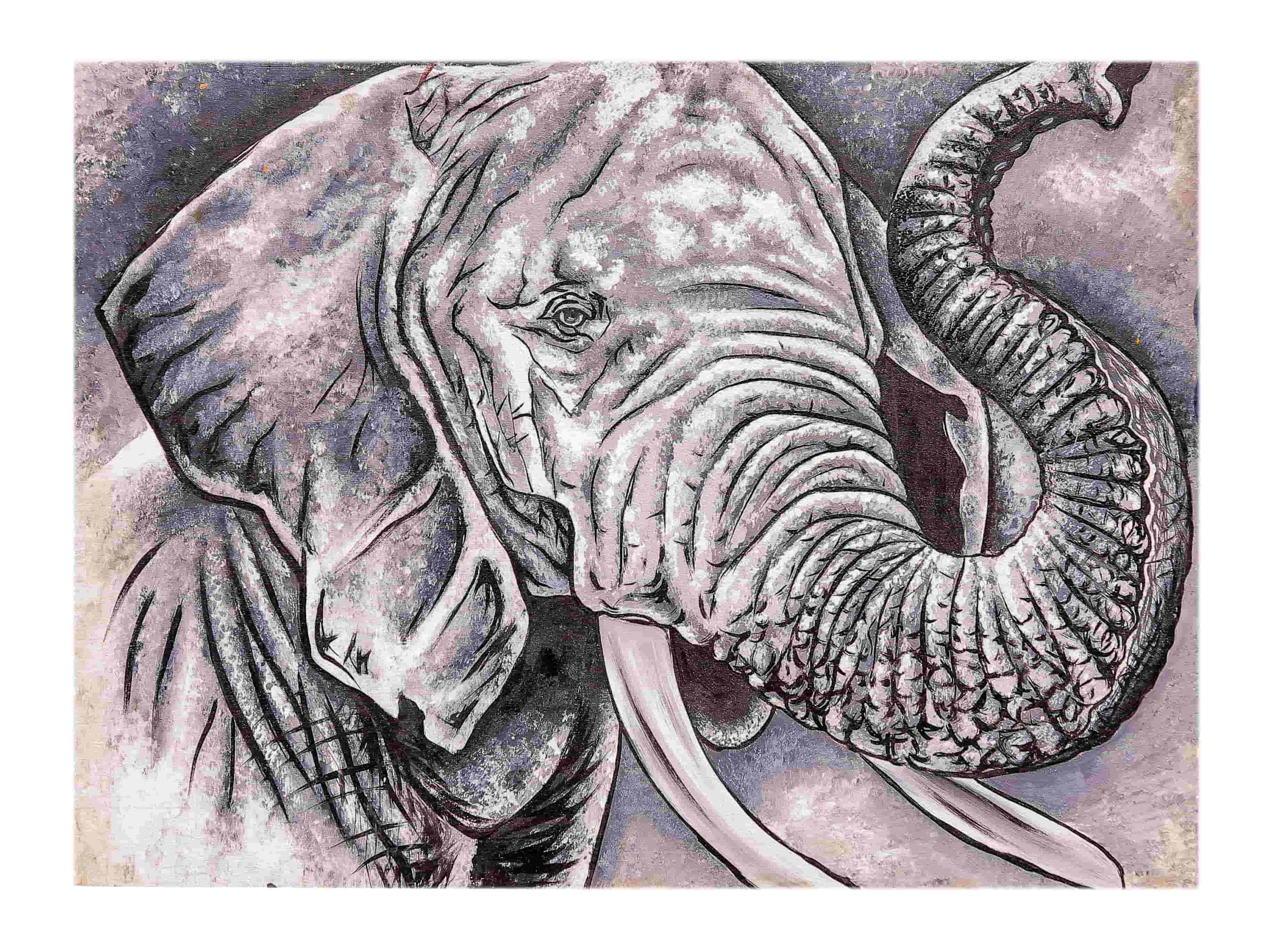 Elephant Head