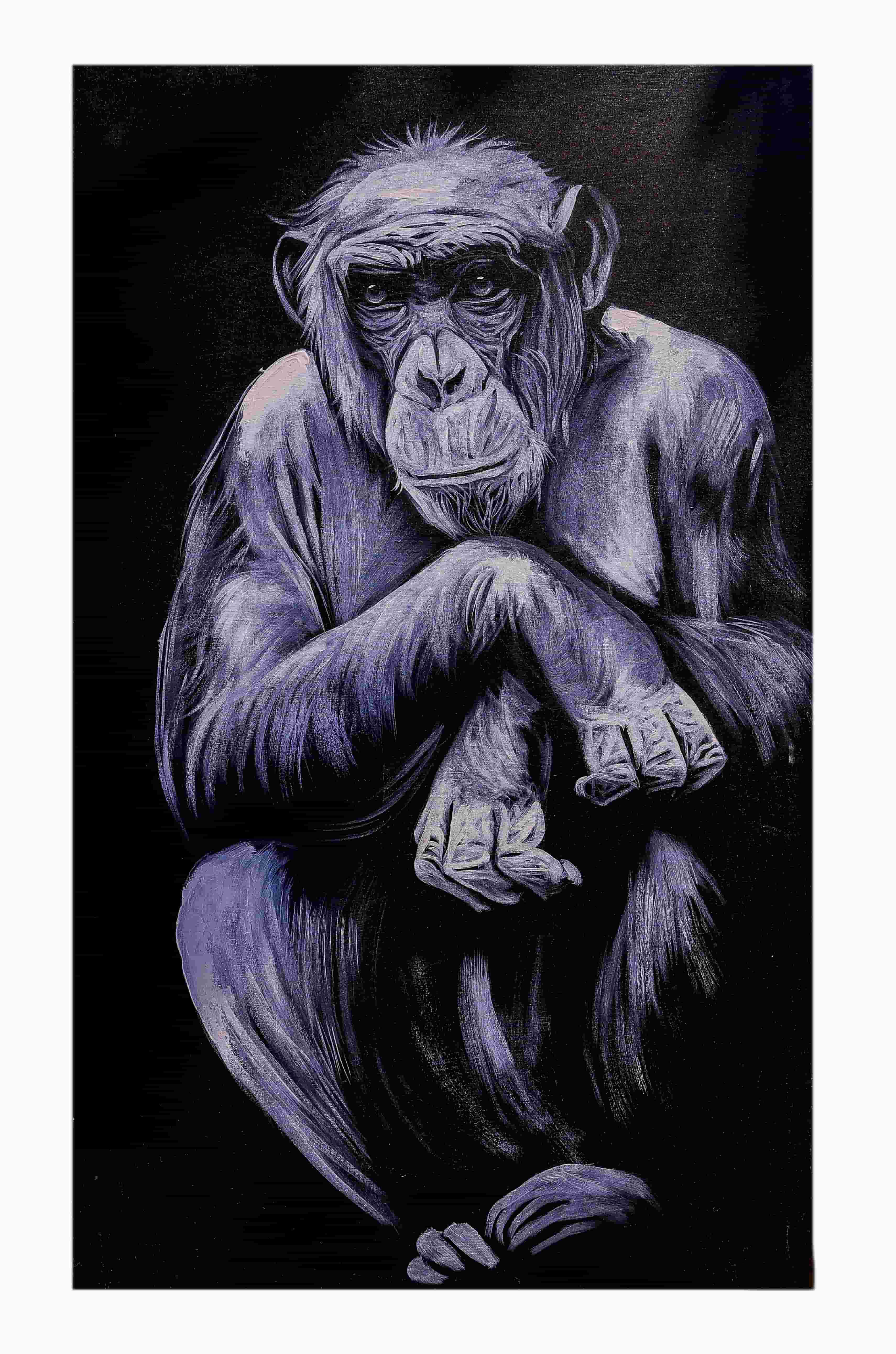 Humble Chimp