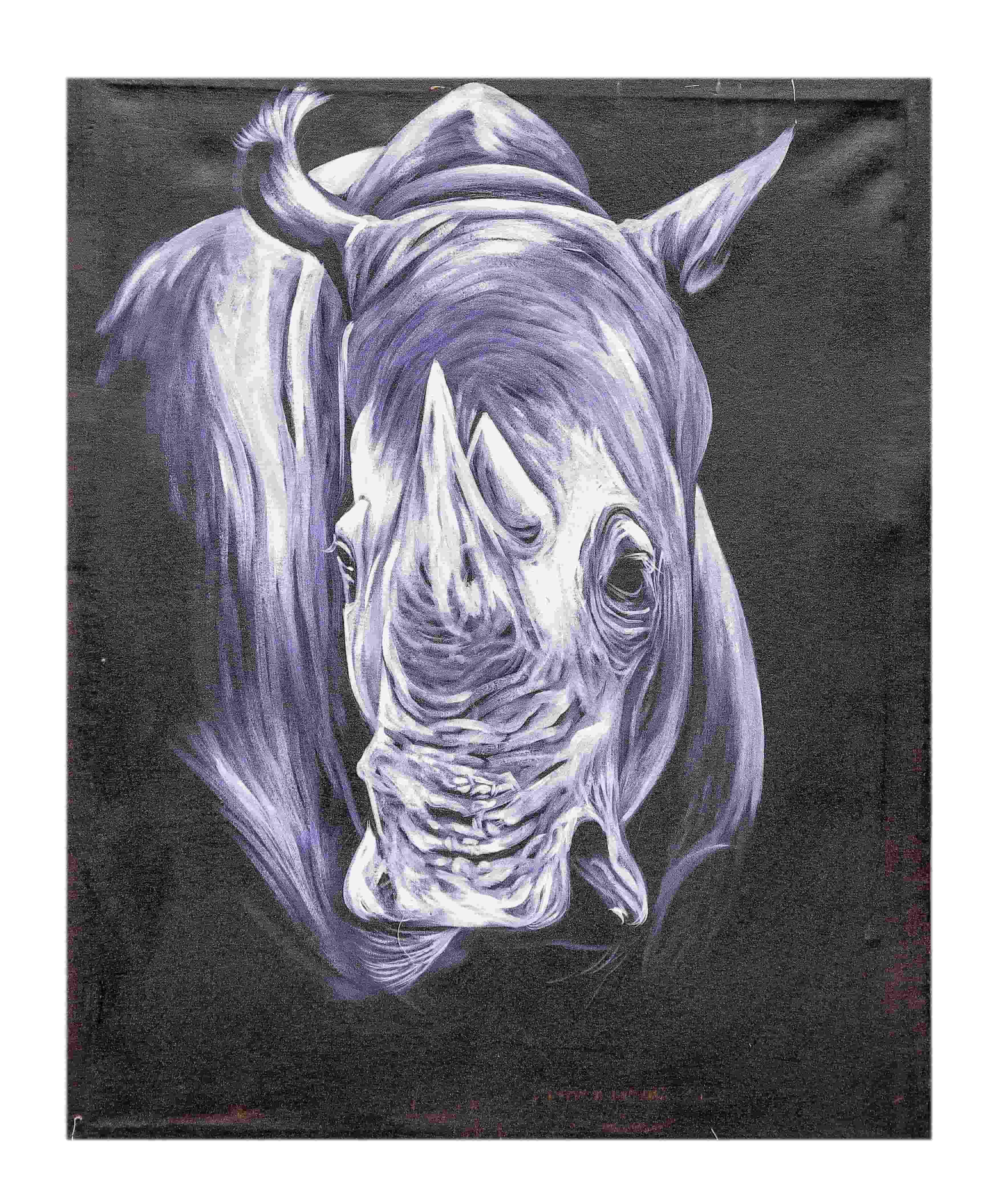 Animal in Greys