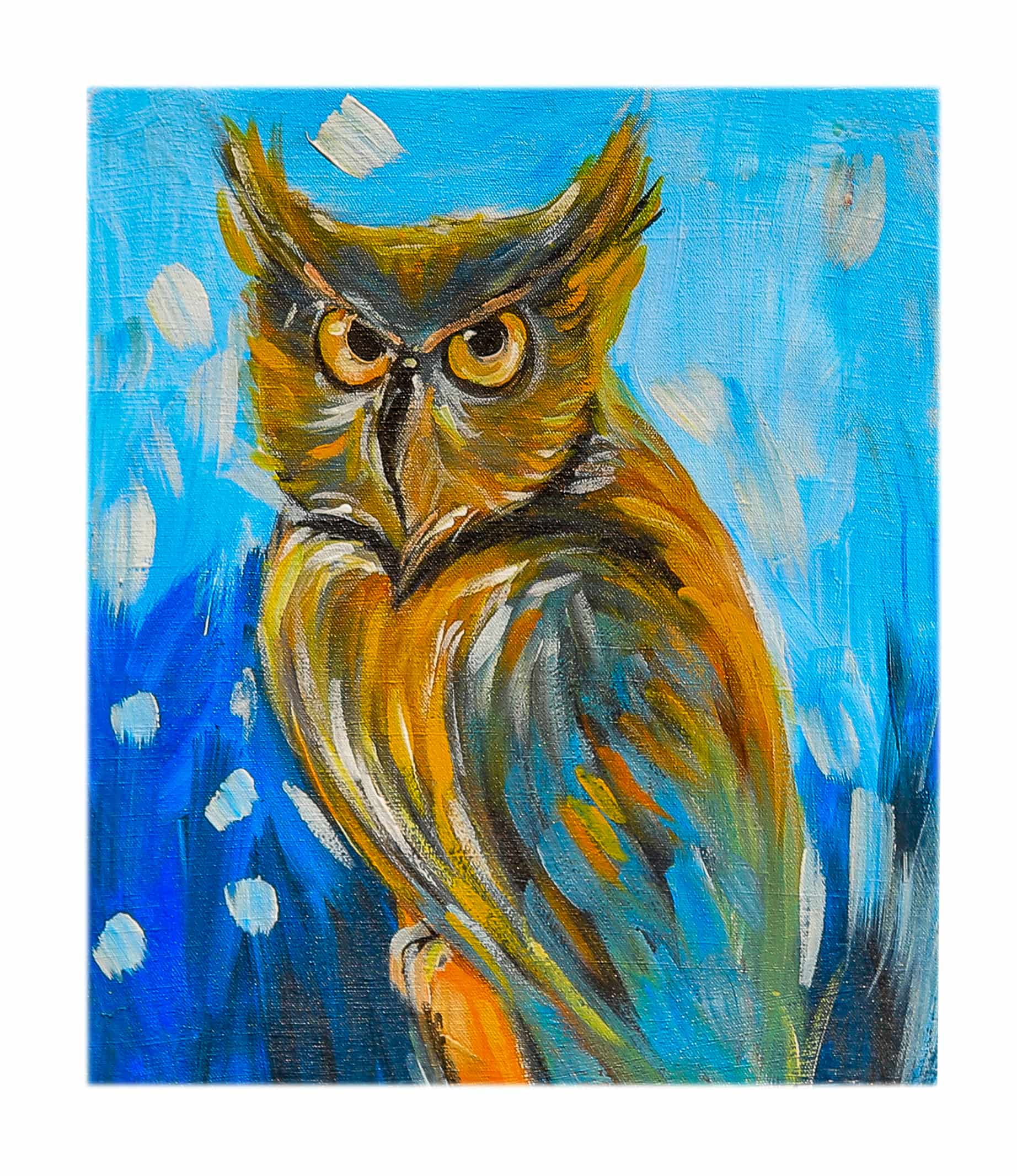 Wild Bird
