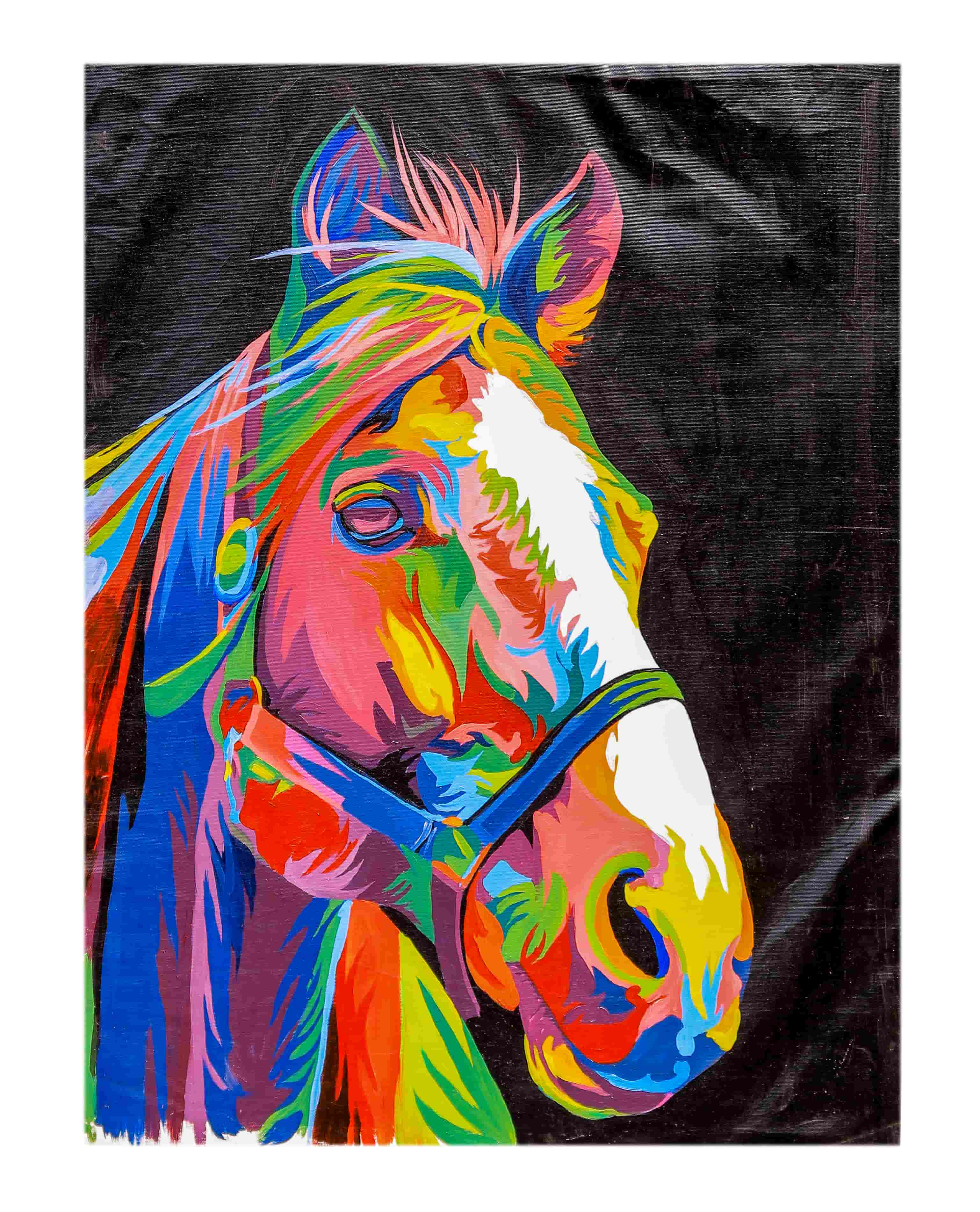 Horse Fore Colored