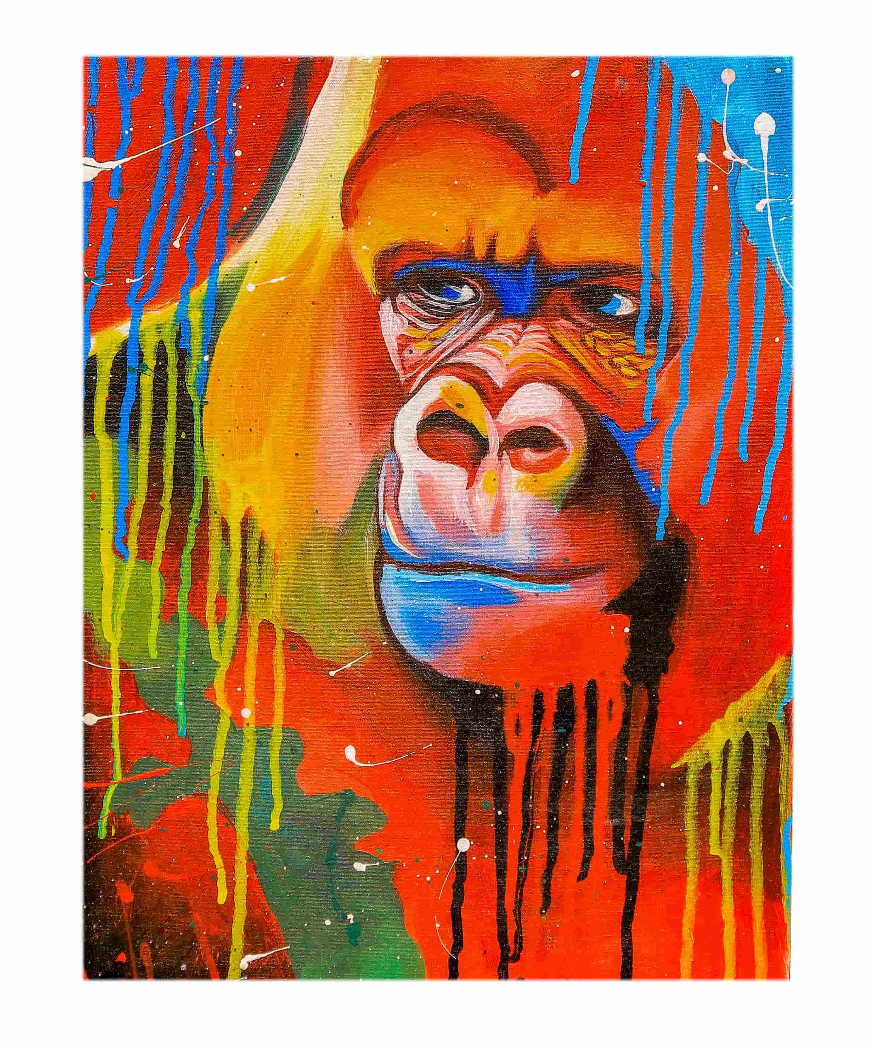 Colored Chimp