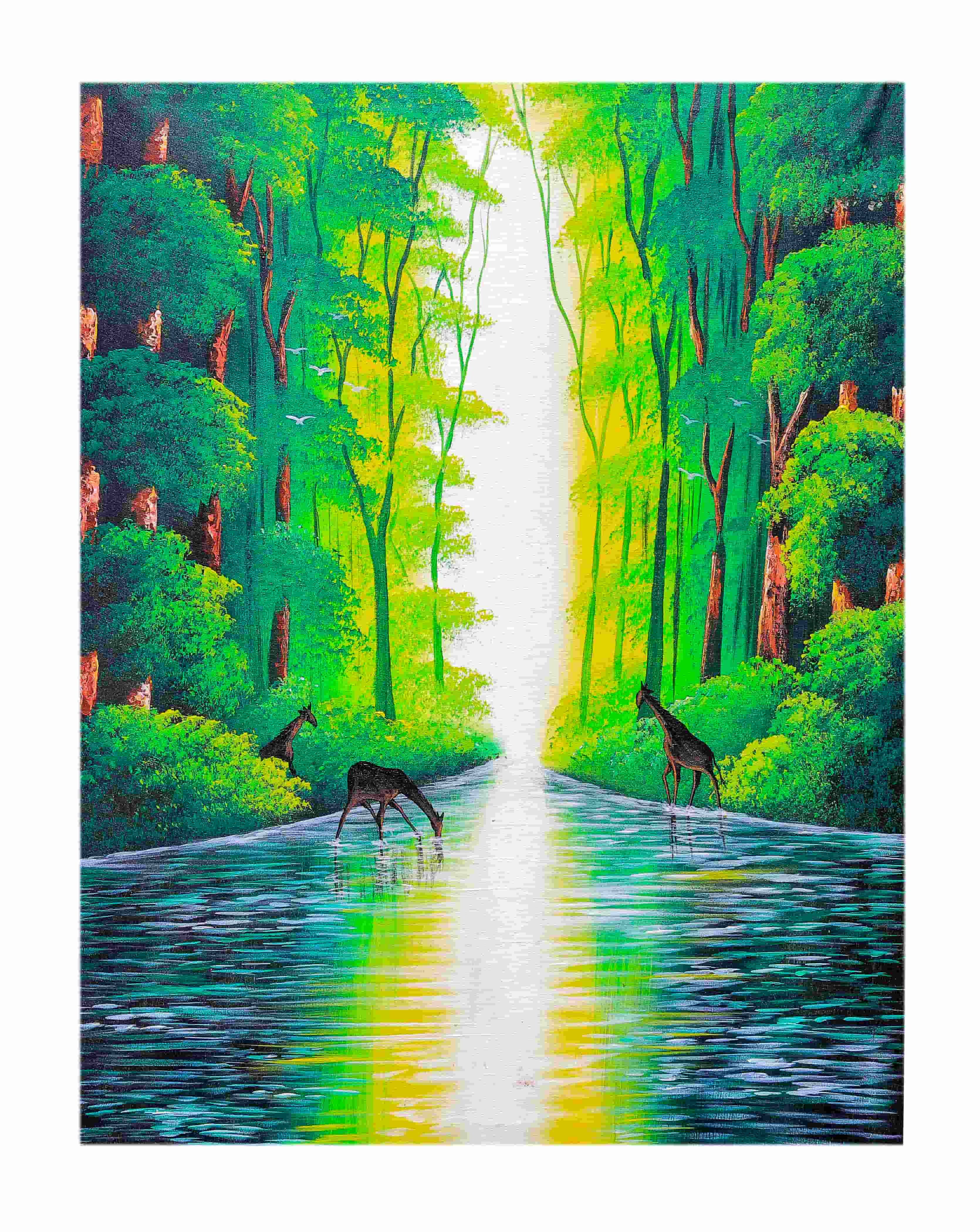Giraffes Take Water 